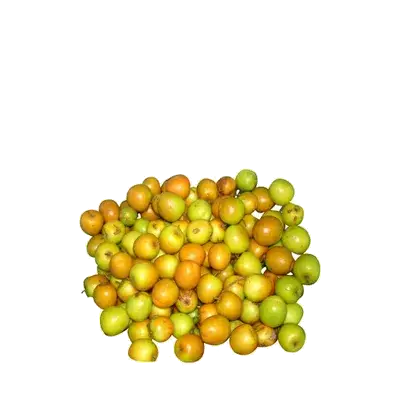 Frozen Sour Jujube (Tok Boroi) 300 gm