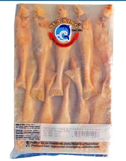 Fish- Block Taposhi 500gm